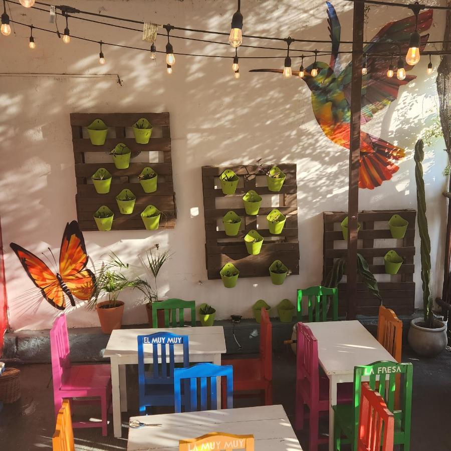 Casa Frida Villa Tulum Exterior foto